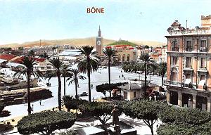 Bone  006